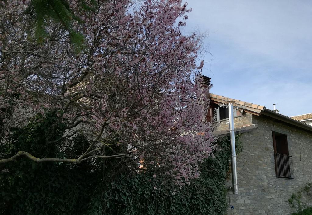 O Zierzo Villa Jaca Luaran gambar